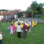 farni-den-2013-161