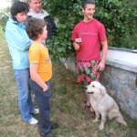 farni-den-2014-217