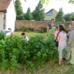 farni-den-nikolcice-2014-009