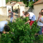 farni-den-nikolcice-2014-012