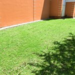 farni-den-sitborice-001