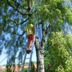 farni-den-sitborice-008