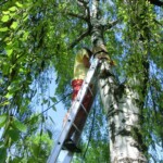 farni-den-sitborice-009