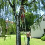 farni-den-sitborice-012