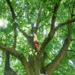 farni-den-sitborice-049