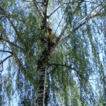 farni-den-sitborice-066