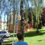 farni-den-sitborice-070