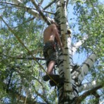 farni-den-sitborice-082