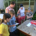 farni-den-sitborice-116