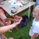 farni-den-sitborice-119