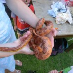 farni-den-sitborice-120