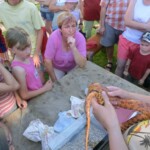 farni-den-sitborice-132