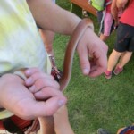 farni-den-sitborice-135