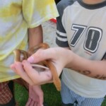 farni-den-sitborice-163