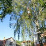 farni-den-sitborice-277