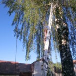 farni-den-sitborice-281