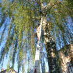 farni-den-sitborice-282