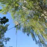 farni-den-sitborice-283