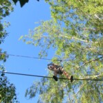 farni-den-sitborice-284