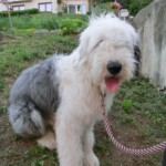 farni-den-sitborice-310