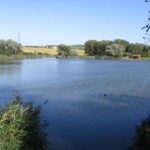 Dvorský rybník img_b6b.jpg