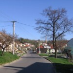 img_g5.jpg