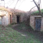 img_l3.jpg