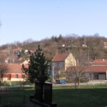 img_m8.jpg