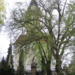 img_n6.jpg