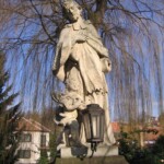 img_n7.jpg