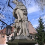 img_n7a.jpg