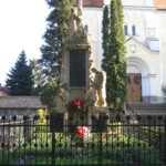 img_n8.jpg