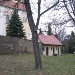 img_p7c.jpg