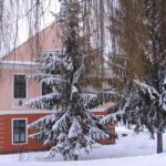 img_r7f.jpg