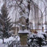 img_r7g.jpg