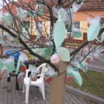 jablecne-slavnosti09