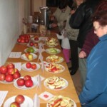 jablecne-slavnosti31