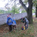 kastany-a-drakiada-005