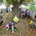 kastany-a-drakiada-006