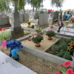 kastany-a-drakiada-016