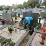 kastany-a-drakiada-017