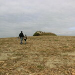 kastany-a-drakiada-025