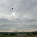 kastany-a-drakiada-038