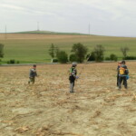 kastany-a-drakiada-060