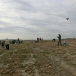 kastany-a-drakiada-083