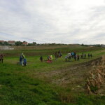 kastany-a-drakiada-089