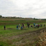 kastany-a-drakiada-090