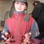 kastany-a-drakiada-127