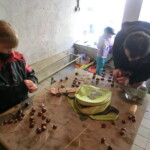 kastany-a-drakiada-139