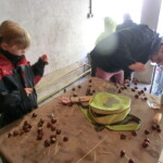 kastany-a-drakiada-140